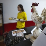 Marco Pollo
