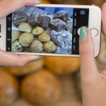 Room to Rise: New foods in the French tradition